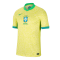 Camiseta Brasil 2024/2025 Local