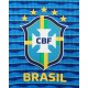 Camiseta Brasil 2024/2025 Visitante