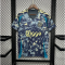 Camiseta Ajax de Ámsterdam 2024/2025 Visitante