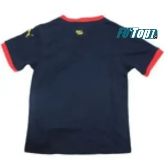 Camiseta Calidad Premium Girona Segunda Equipación 2024/25 Niño