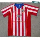 Camiseta Calidad Premium F.TORRES 9 Atlético de Madrid Local 2004/05 Retro