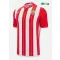 Camiseta UD Almería Primera Equipación 2025/2026 Rojo/Blanco