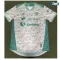 Camiseta Calidad AAA Santos Laguna Segunda Equipación 2025/26 Versión Jugador