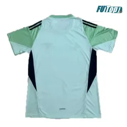 Camiseta Calidad Premium de Portero Arsenal 2025/2026 Verde Claro/Negro