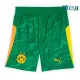 Camiseta Calidad Premium de Portero Borussia 2025/2026 Verde