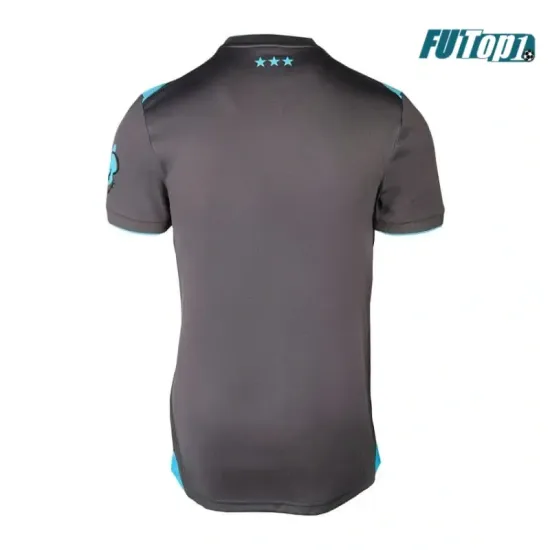 Camiseta Calidad Premium Ipswich Town Alternativo 2025/2026