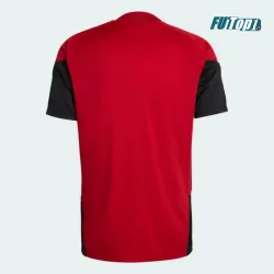 Camiseta de Entrenamiento Alemania 2026 Rojo