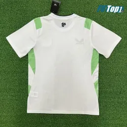 Camiseta Irland Visitante Mundial 2026 Blanco/Verde Claro