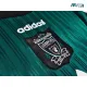 Camiseta Liverpool 1995/96 Edición Especial Verde Retro