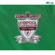 Camiseta Liverpool Visitante 1992/1993 Verde Niño Kit Retro