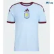 Camiseta Aston Villa Alternativo 2026/2027 Azul Cielo